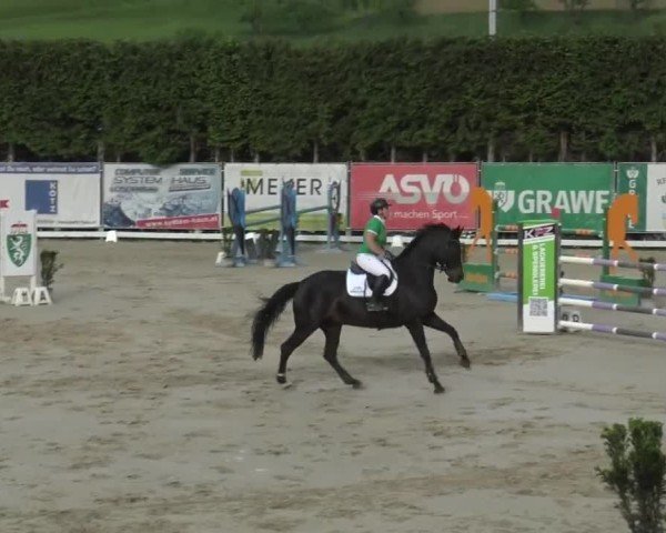 Reitturnier Preding 2025
