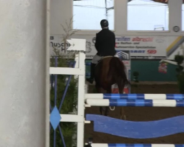 Hallenreitturnier Arnsberg-Voßwinkel 2014