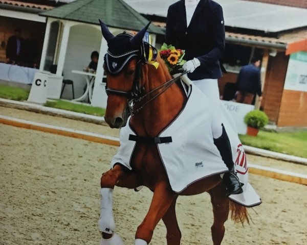 Dressurpferd Billy Jean MS (Hannoveraner, 2004, von Belissimo NRW)