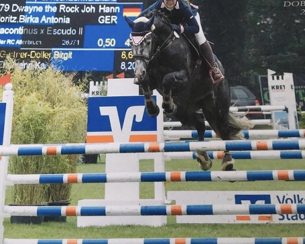 stallion Dwayne The Rock Johnson 3 (Hanoverian, 2014, from Diacontinus)
