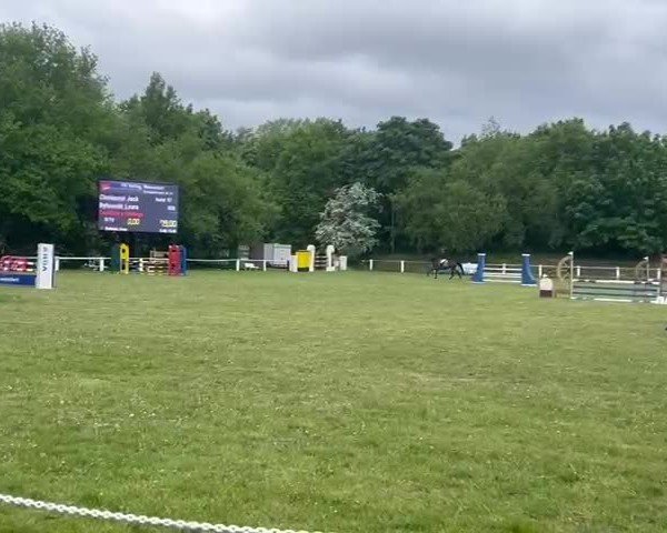 Reitturnier Hannover/Reiterstadion 2025