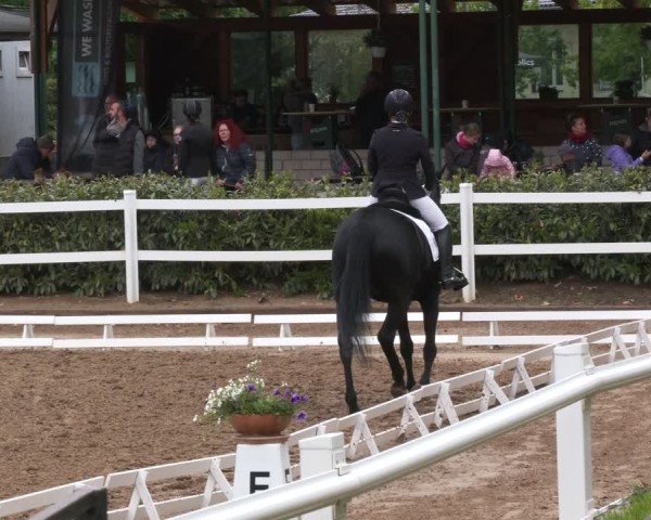 Reitturnier Teupitz 2025