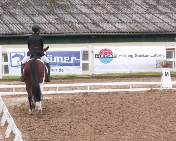 Reitturnier Teupitz 2025