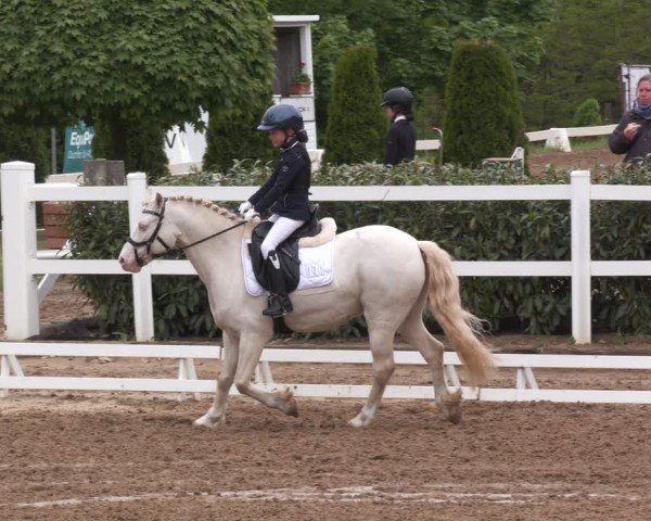 Reitturnier Teupitz 2025