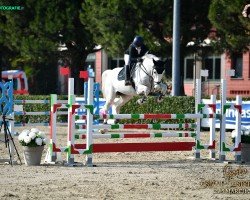 jumper Caprizio 3 (Oldenburg show jumper, 2008, from Capilano)