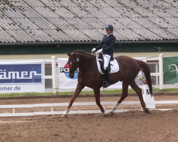Reitturnier Teupitz 2025