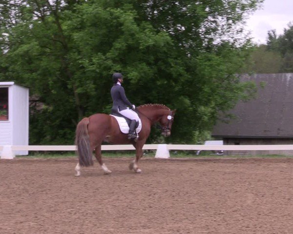 Reitturnier Teupitz 2025