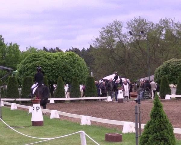 Reitturnier Teupitz 2025
