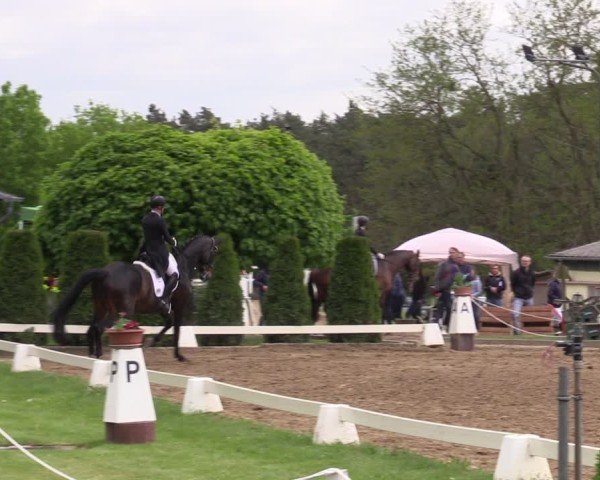 Reitturnier Teupitz 2025