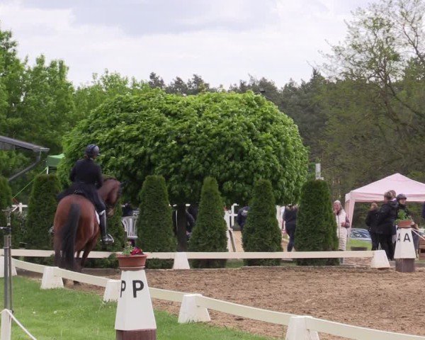 Reitturnier Teupitz 2025