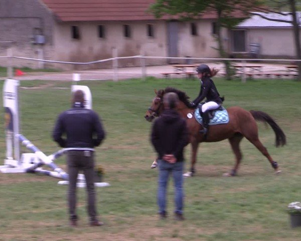Reitturnier Derenburg 2025