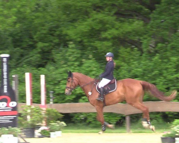 Reitturnier Wesel-Obrighoven 2025