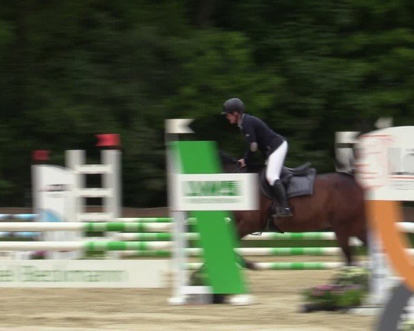Reitturnier Wesel-Obrighoven 2025