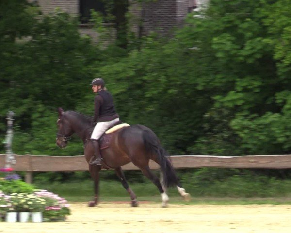 Reitturnier Wesel-Obrighoven 2025