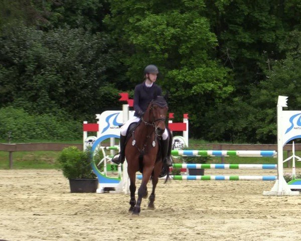 Reitturnier Wesel-Obrighoven 2025
