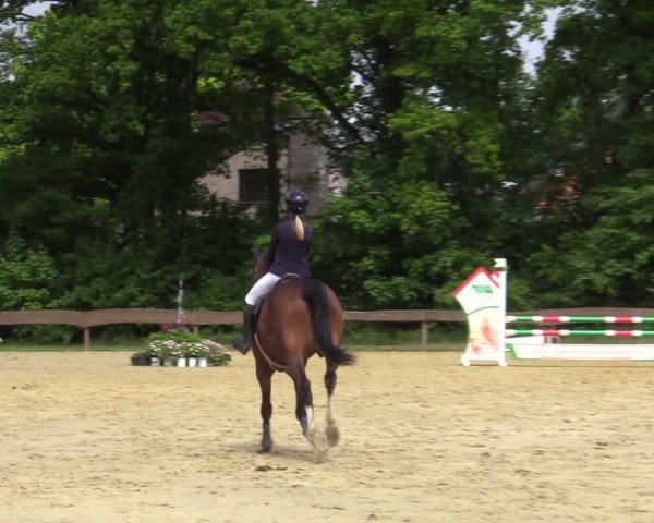 Reitturnier Wesel-Obrighoven 2025