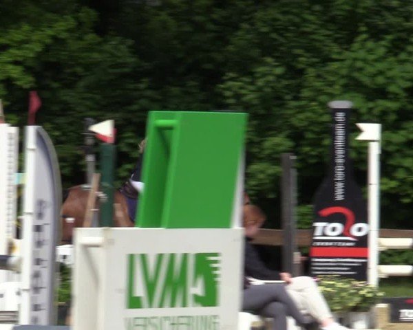 Reitturnier Wesel-Obrighoven 2025