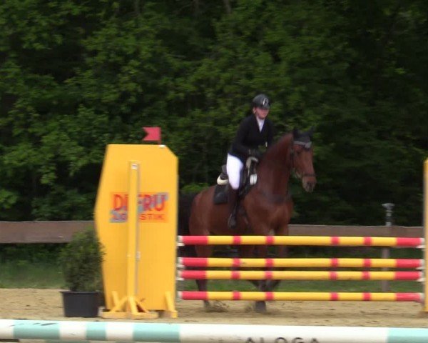 Reitturnier Wesel-Obrighoven 2025
