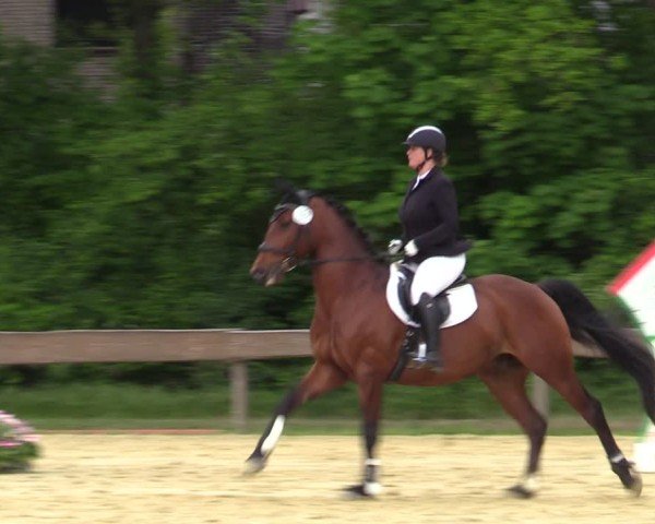 Reitturnier Wesel-Obrighoven 2025