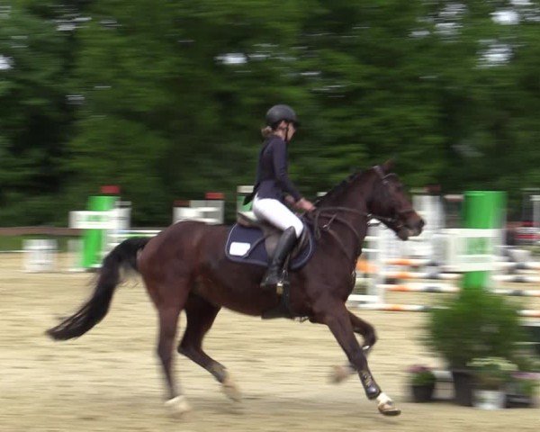 Reitturnier Wesel-Obrighoven 2025