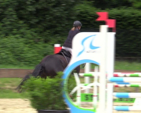 Reitturnier Wesel-Obrighoven 2025