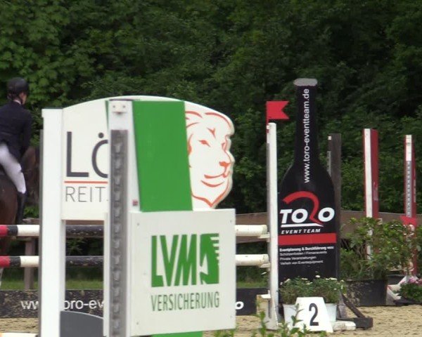 Reitturnier Wesel-Obrighoven 2025