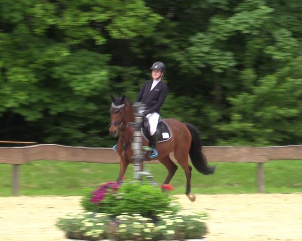 Reitturnier Wesel-Obrighoven 2025