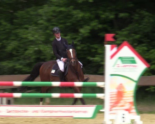 Reitturnier Wesel-Obrighoven 2025