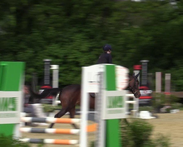 Reitturnier Wesel-Obrighoven 2025
