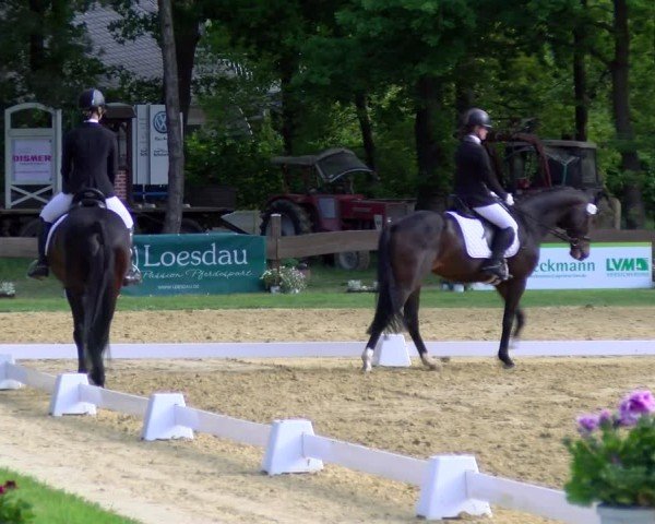 Reitturnier Wesel-Obrighoven 2025