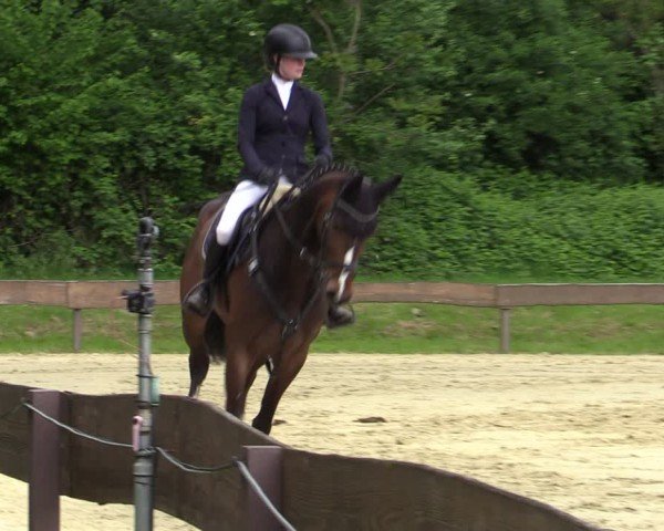 Reitturnier Wesel-Obrighoven 2025