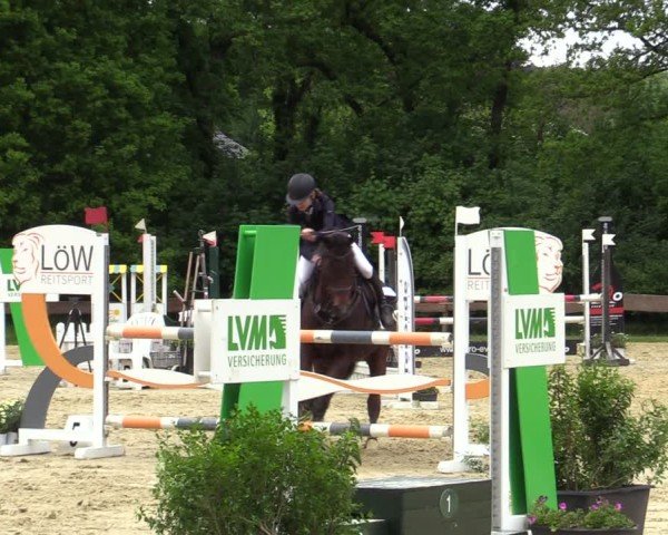 Reitturnier Wesel-Obrighoven 2025