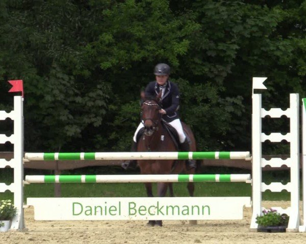 Reitturnier Wesel-Obrighoven 2025