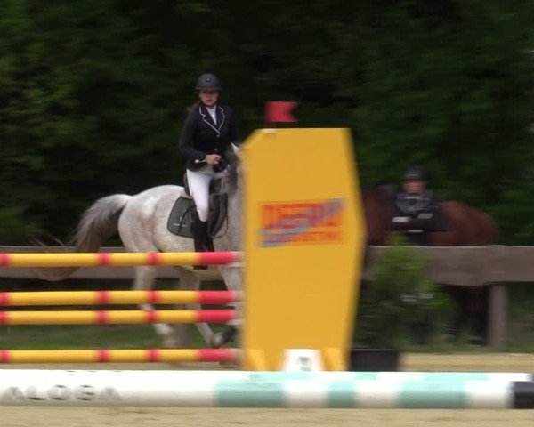 Reitturnier Wesel-Obrighoven 2025