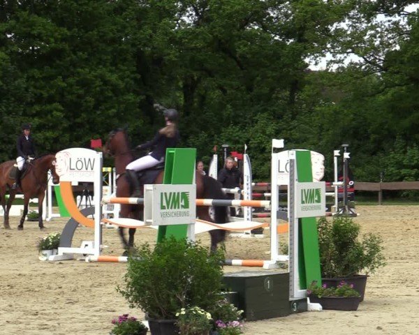 Reitturnier Wesel-Obrighoven 2025