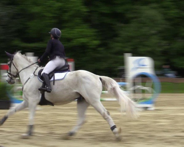 Reitturnier Wesel-Obrighoven 2025