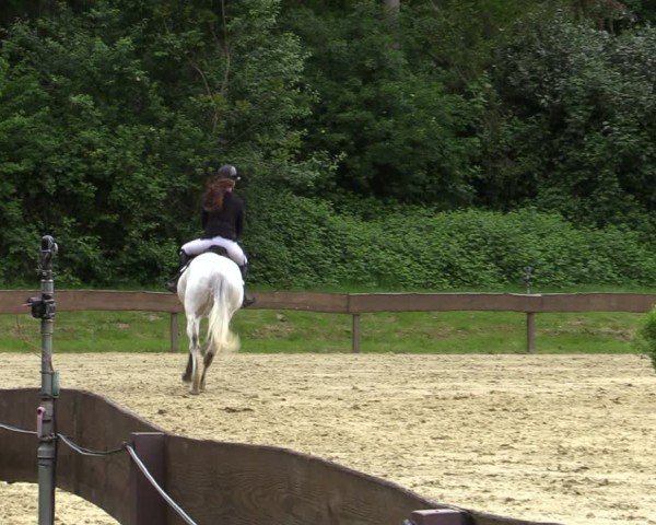 Reitturnier Wesel-Obrighoven 2025