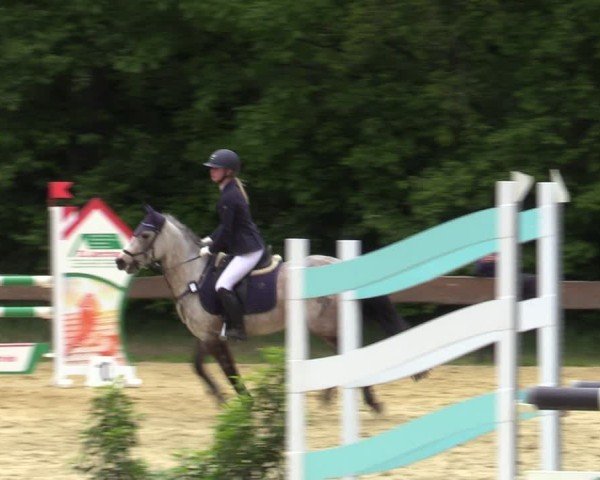 Reitturnier Wesel-Obrighoven 2025