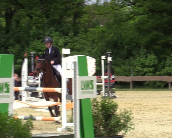 Reitturnier Wesel-Obrighoven 2025