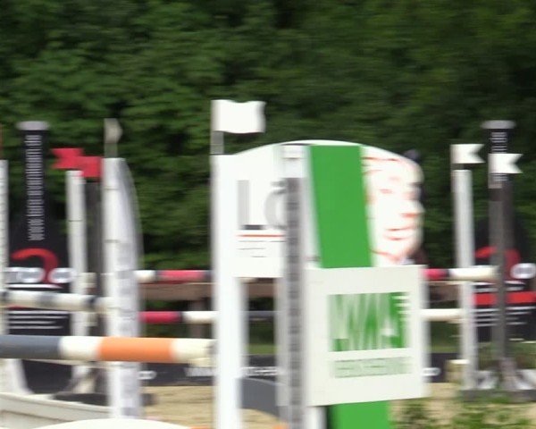 Reitturnier Wesel-Obrighoven 2025