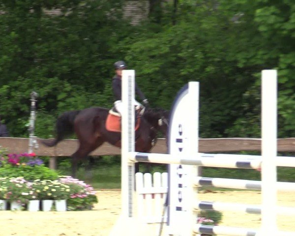Reitturnier Wesel-Obrighoven 2025