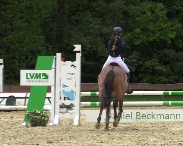 Reitturnier Wesel-Obrighoven 2025