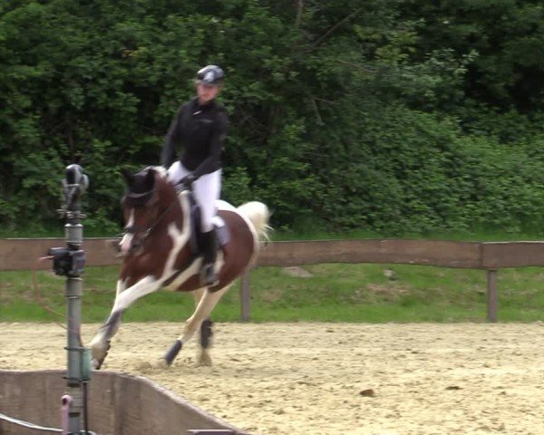 Reitturnier Wesel-Obrighoven 2025