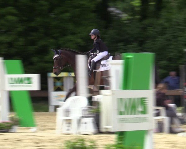 Reitturnier Wesel-Obrighoven 2025