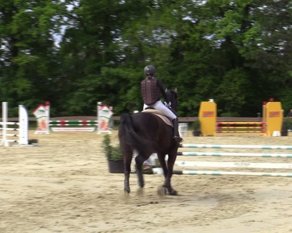 Reitturnier Wesel-Obrighoven 2025