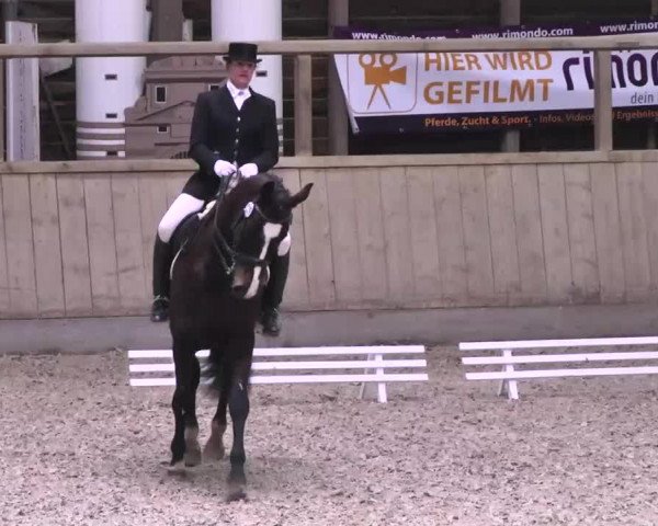 Hallenturnier Heidelberg-Kirchheim 2014