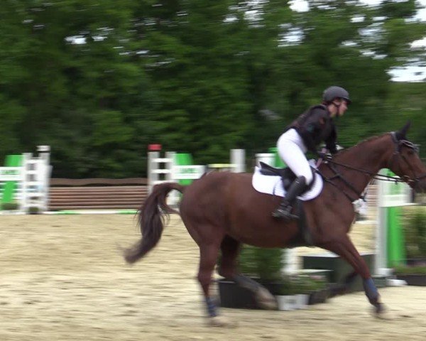 Reitturnier Wesel-Obrighoven 2025
