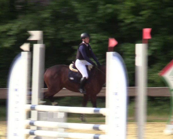Reitturnier Wesel-Obrighoven 2025