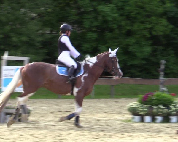 Reitturnier Wesel-Obrighoven 2025