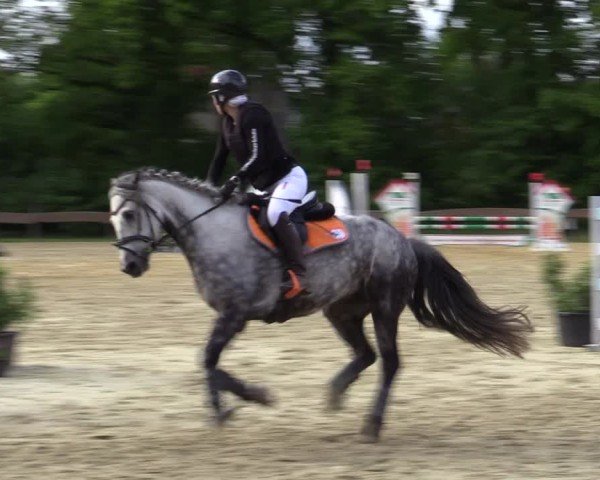 Reitturnier Wesel-Obrighoven 2025